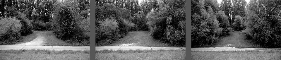 Plätze 2001