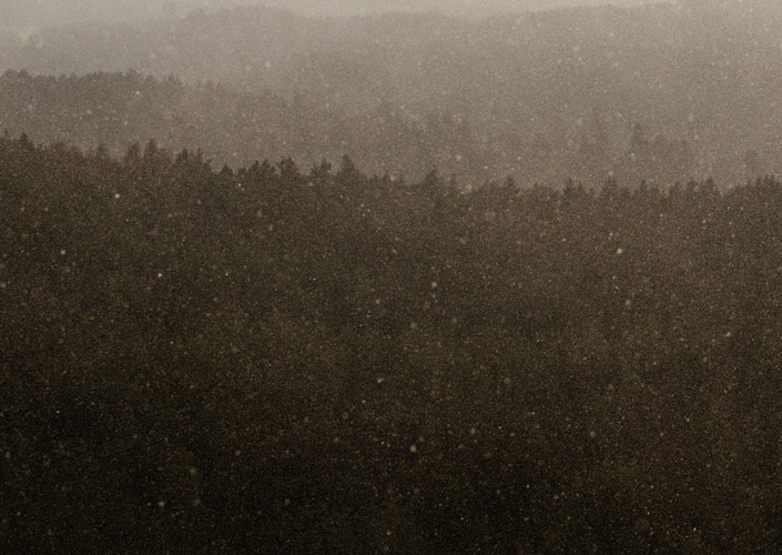 Schneetreiben  2012/2026 