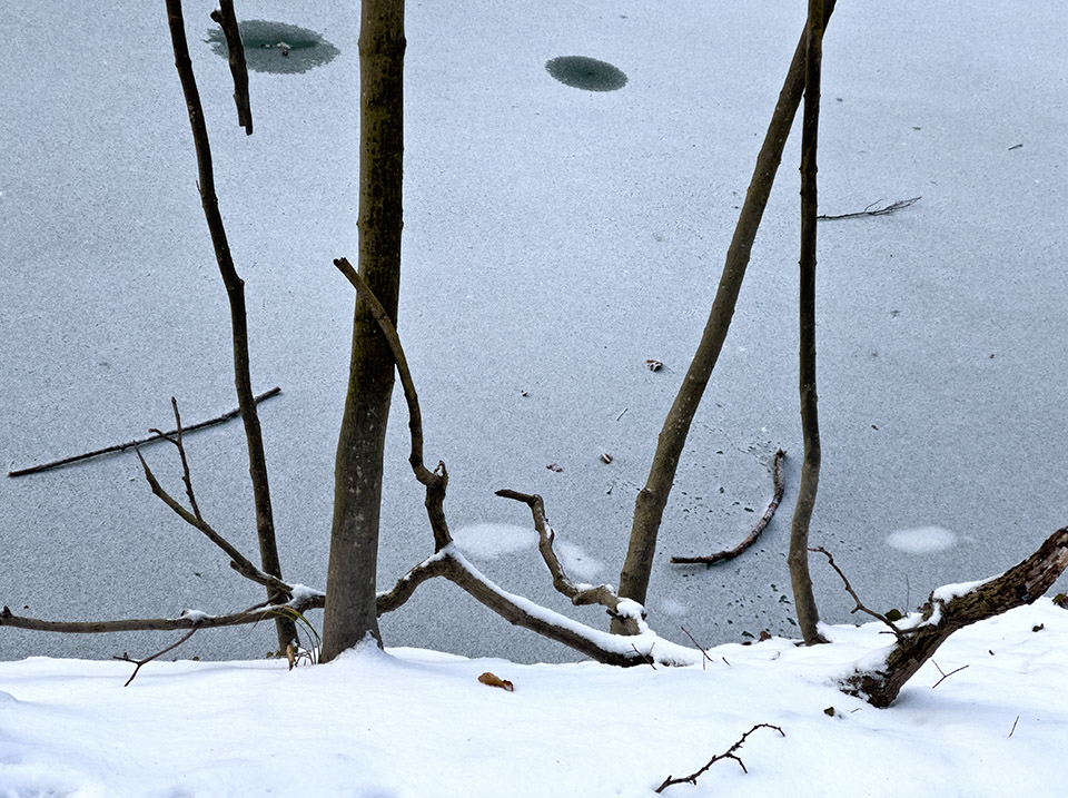 Waldpark I 2024